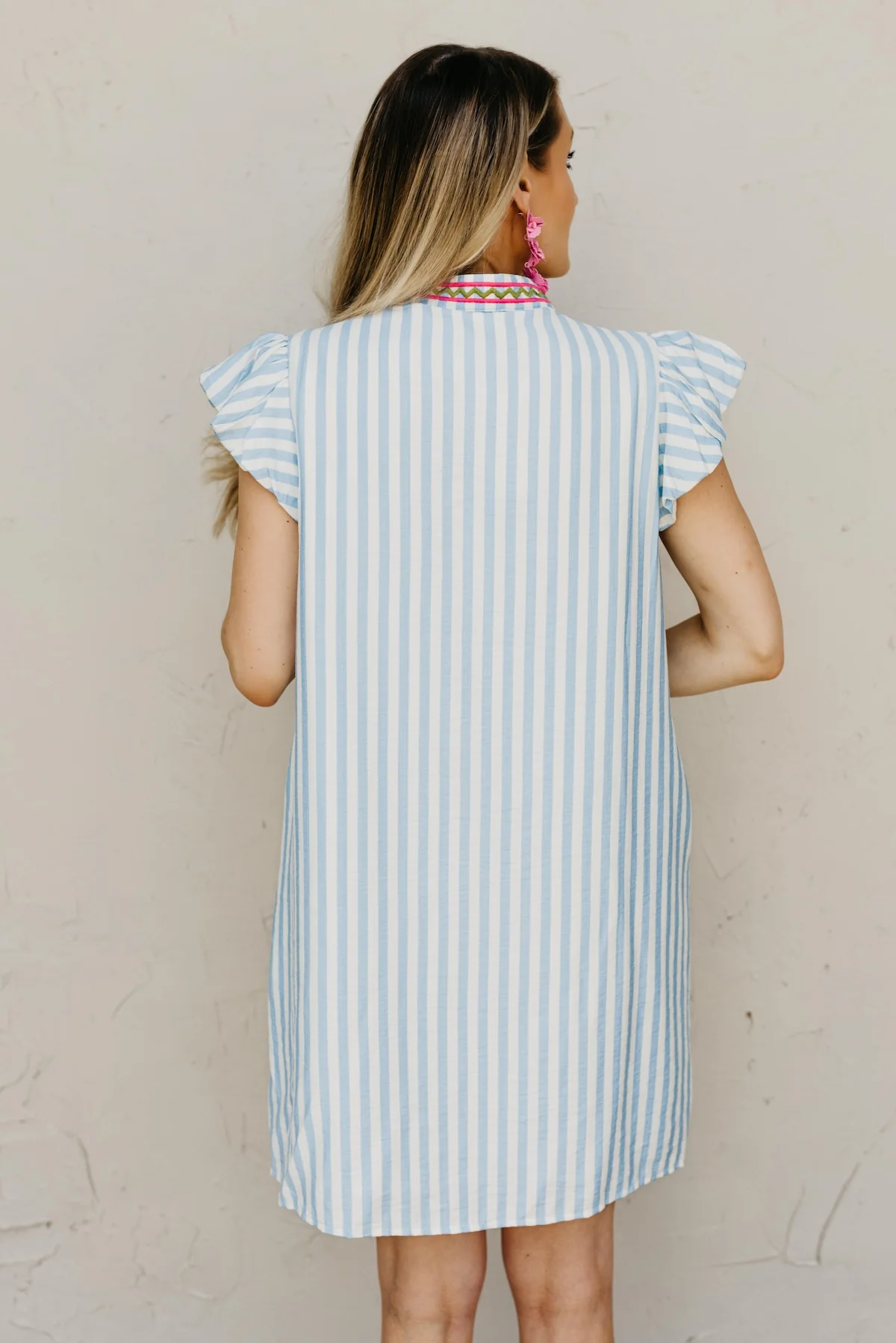 The Braylon Emroidered Mini Dress - Image 13