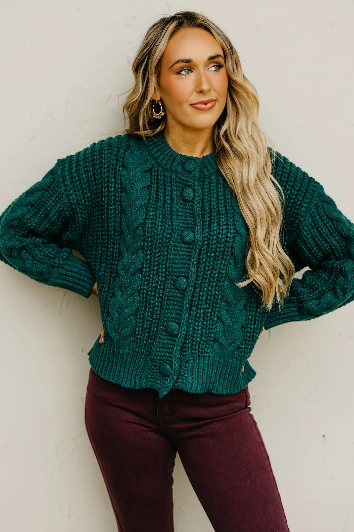 The Trisha Sweater Cardigan - Image 4